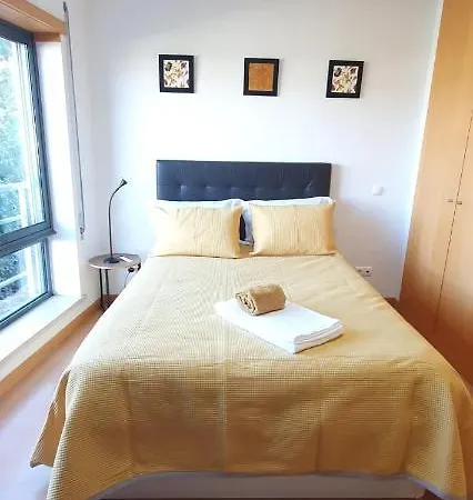 Coimbra's Black & Gold