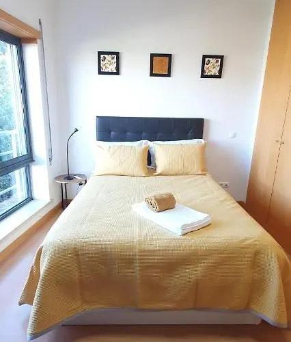 Coimbra's Black & Gold